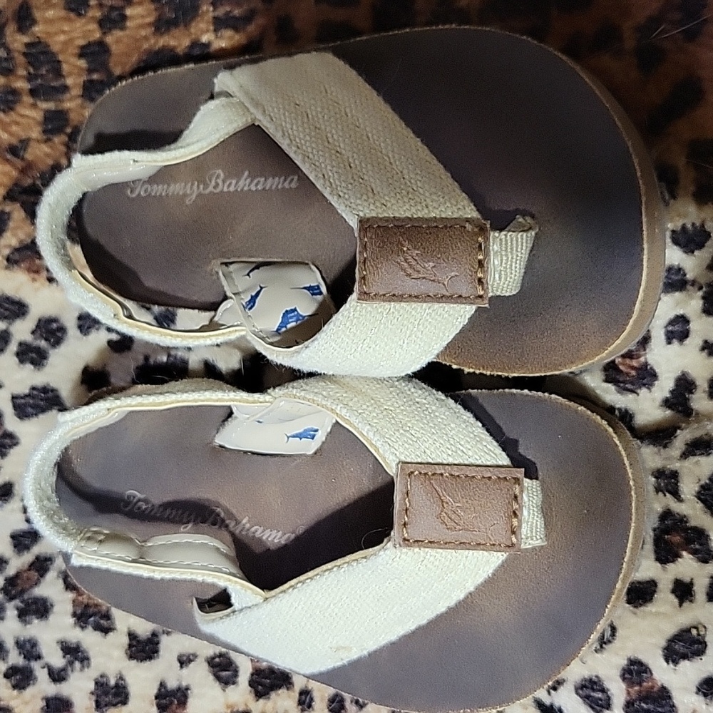 Tommy Bahama shoes